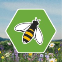 BeeWild logo - Similar company to Beewild Nature