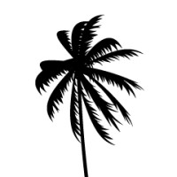 Binga Beach Resort