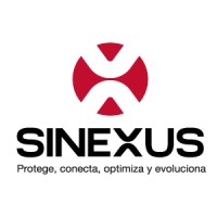 Sinexus logo - Similar company to Snexus Networks