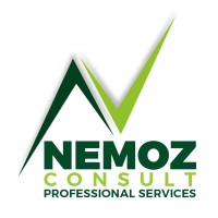 Nemoz Consult Professional Services logo - Similar company to Nemoz
