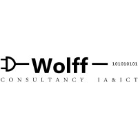 Wolff Consultancy IA & ICT logo - Similar company to D-Mech Engineering