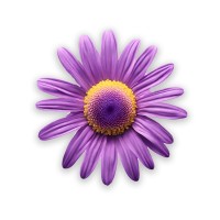 Daysy logo - Similar company to Valley Group