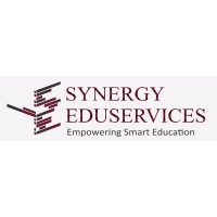 Synergy Eduservices logo - Similar company to The Learning Palette