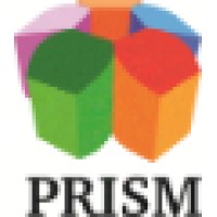Prism Technical Advisors logo - Similar company to Synergenog