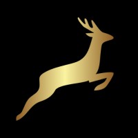 Leap Academy logo - Similar company to Averon