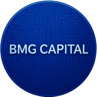 BMG Capital LLC logo - Similar company to V.Data