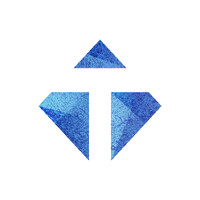 Techtonex logo - Similar company to Logixbridge
