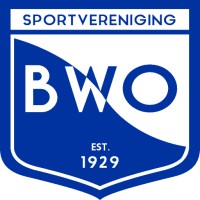 ksv BWO logo - Similar company to Victa - Business Intelligence