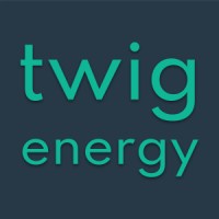 twig.energy logo - Similar company to Adamatics