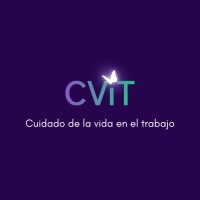 CViT logo - Similar company to Amalia