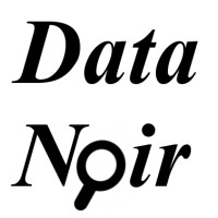 Data Noir, Llc