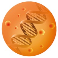 Gennova Biopharmaceuticals logo - Similar company to Organica Biotech Pvt. Ltd.