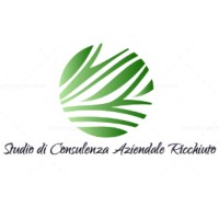Studio di Consulenza Aziendale Ricchiuto logo - Similar company to Bosaz Studio Legale
