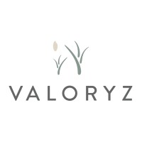 Valoryz Production Kft. logo - Similar company to Revala Ltd