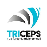 TRICEPS CONSEILS logo - Similar company to Linkli Bâtiment