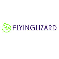 Flying Lizard logo - Similar company to Pocketbra, Inc.