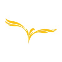 BUSINESS DIVE logo - Similar company to Gray Wall Creative | Small Business Digital Marketing