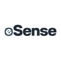 eSense s.r.o. logo - Similar company to Dbt