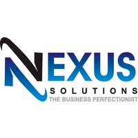 Nexus Solutions logo - Similar company to Steady Solution Group