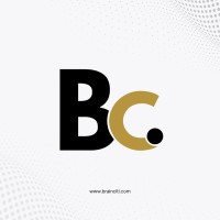 Brainciti Consulting logo - Similar company to Consultwithrahul