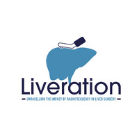Liveration logo - Similar company to Decision-Project