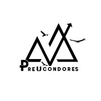 Preuniversitario Cóndores logo - Similar company to Paes Pro