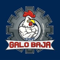 Equipe Galo Baja logo - Similar company to Otimize Cefet Consultoria Jr