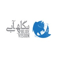 BlueVision Photography Festival logo - Similar company to Blue Circle Ngo