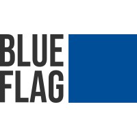 Blue Flag Consulting logo - Similar company to Csiul