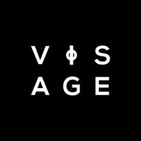 Visage Design Studio logo - Similar company to Teta Constructor