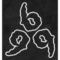 Triple Nine Capital LLC logo - Similar company to Lavapay.Com