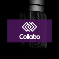 Collabo LTD logo - Similar company to Seebach Associates Ltd
