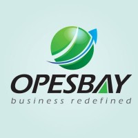 Opesbay Solutions Pvt Ltd logo - Similar company to Cybele Herbal Laboratories Pvt Ltd