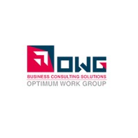 OWG Consulting logo - Similar company to Leanedge360