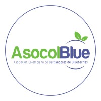Asocolblue logo - Similar company to Blue.Berry : Luxury Elite Enterprise Level Content Creation Company