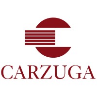 Carzuga logo - Similar company to Partícula