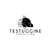 Testuggine Consulting Srl