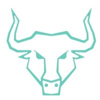 Cash Bulls LTD logo - Similar company to Amakids.It