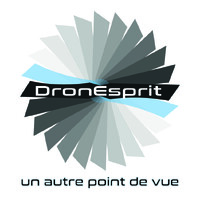 DronEsprit logo - Similar company to Osames 🍫 🚬🤯💆♀️