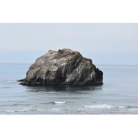 Bandon Advisors logo - Similar company to Dunamis Partners