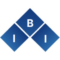 Inblue Infotech logo - Similar company to Canit Solutions