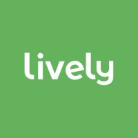 Lively logo - Similar company to Spice For Space