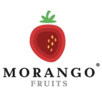 MORANGO FRUITS logo - Similar company to Morango-Net