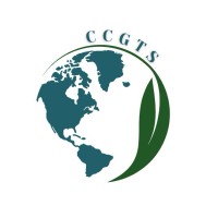 CCGTS logo - Similar company to Ctgs