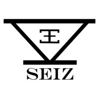 SEIZ logo - Similar company to Top Design Guru