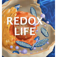 Redox Signaling Molecules logo - Similar company to Magg