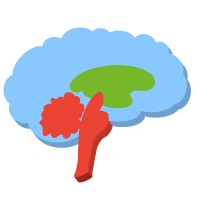 Third Brain logo - Similar company to Dlogos