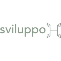 SviluppoH logo - Similar company to Brain Innovations