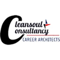 Cleansoul Consultancy logo - Similar company to Doc2Uk