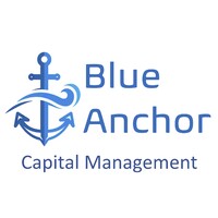 Blue Anchor Capital Managment logo - Similar company to Wolf Point Advisors